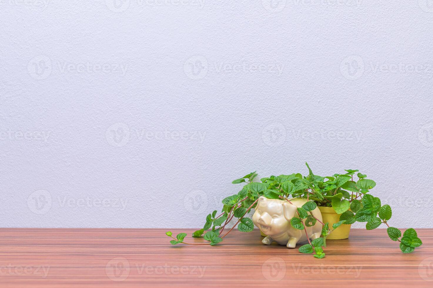 tirelire et pot de fleurs sur le bureau photo