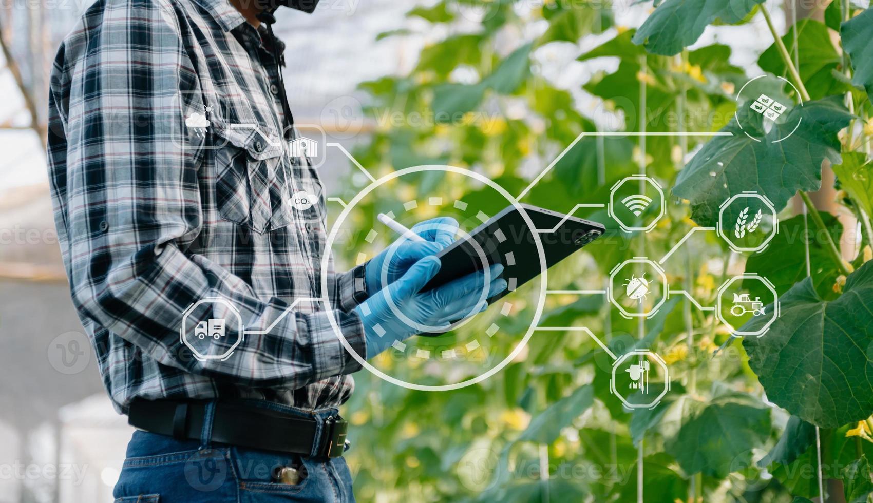 technologie agricole agricultrice tenant une tablette ou une technologie de tablette pour rechercher des données d'analyse de problèmes agricoles et une icône visuelle. photo