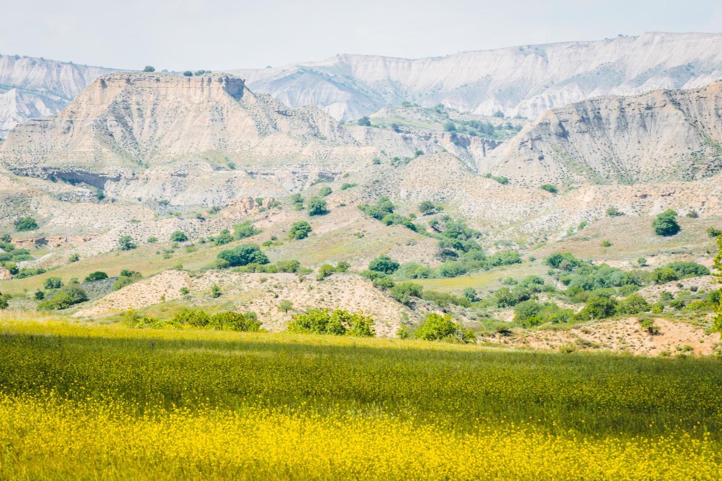 herbe de prairie et belles collines dans le semi-désert du parc national de vashlovani. destination de voyage en géorgie. exploration du caucase. photo