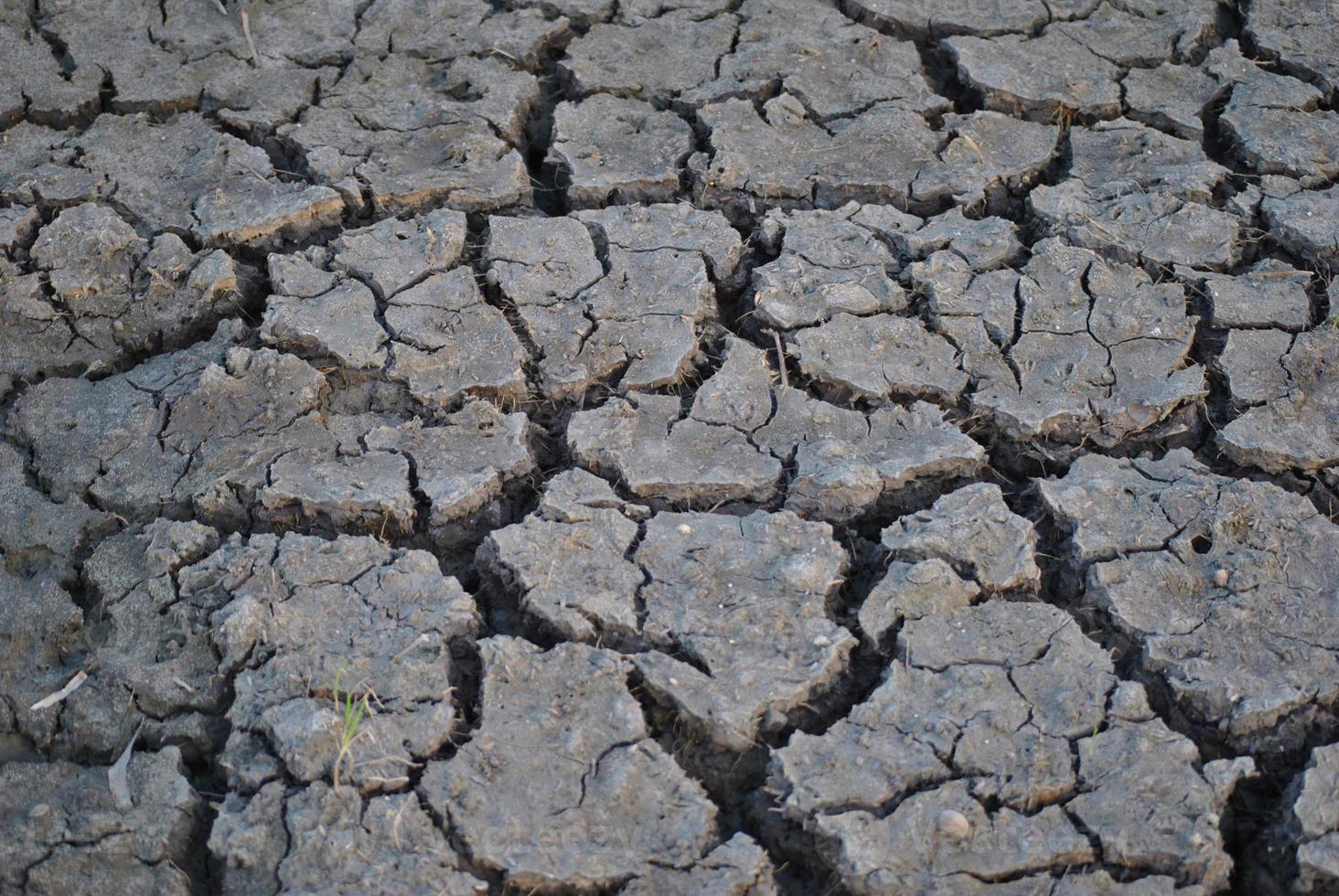 conditions de sol arides, sol fissuré, fissures, sol sec, sol sec photo