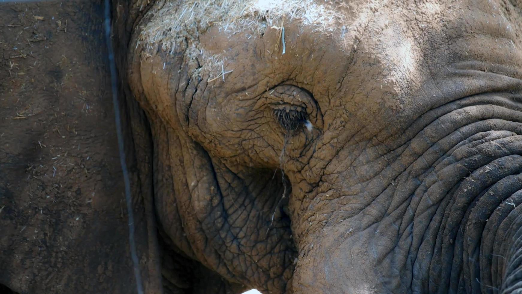 monde mystérieux des animaux photo