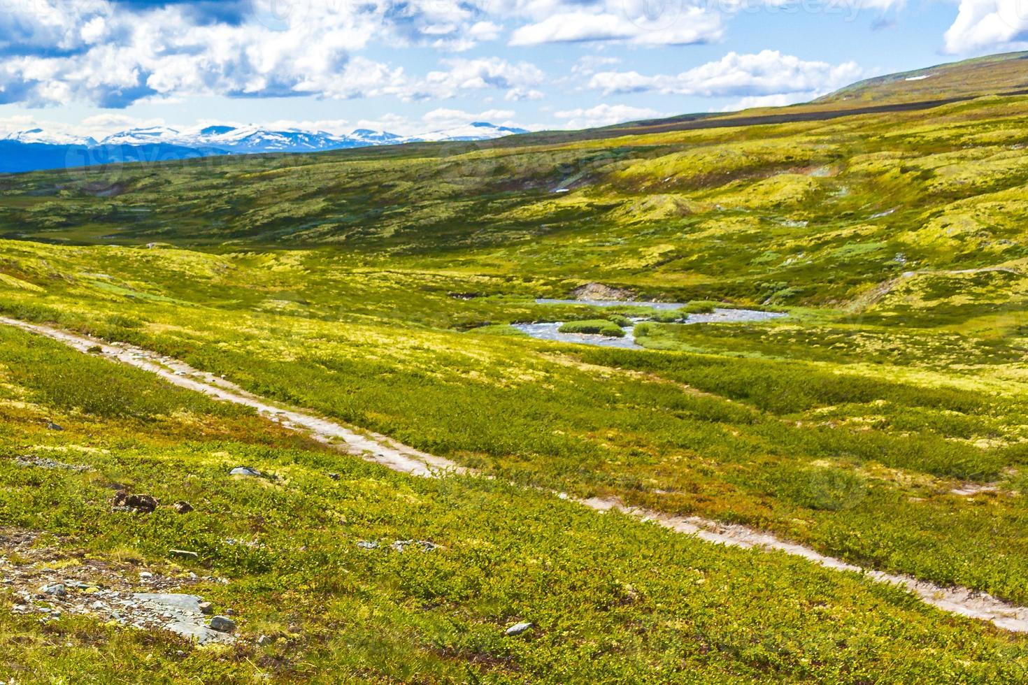 belle montagne et paysage nature panorama parc national de rondane norvège. photo