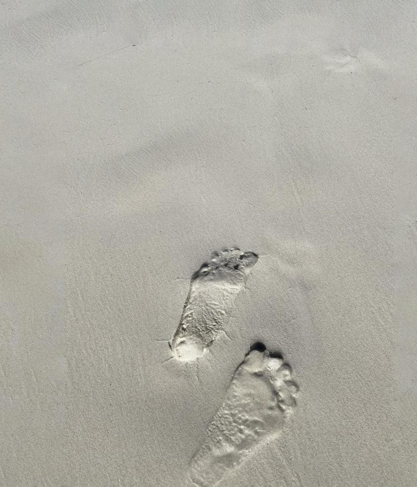 ambiance estivale, vagues et empreintes de pas au coucher du soleil sur la plage de sable, arrière-plan avec espace de copie. photo