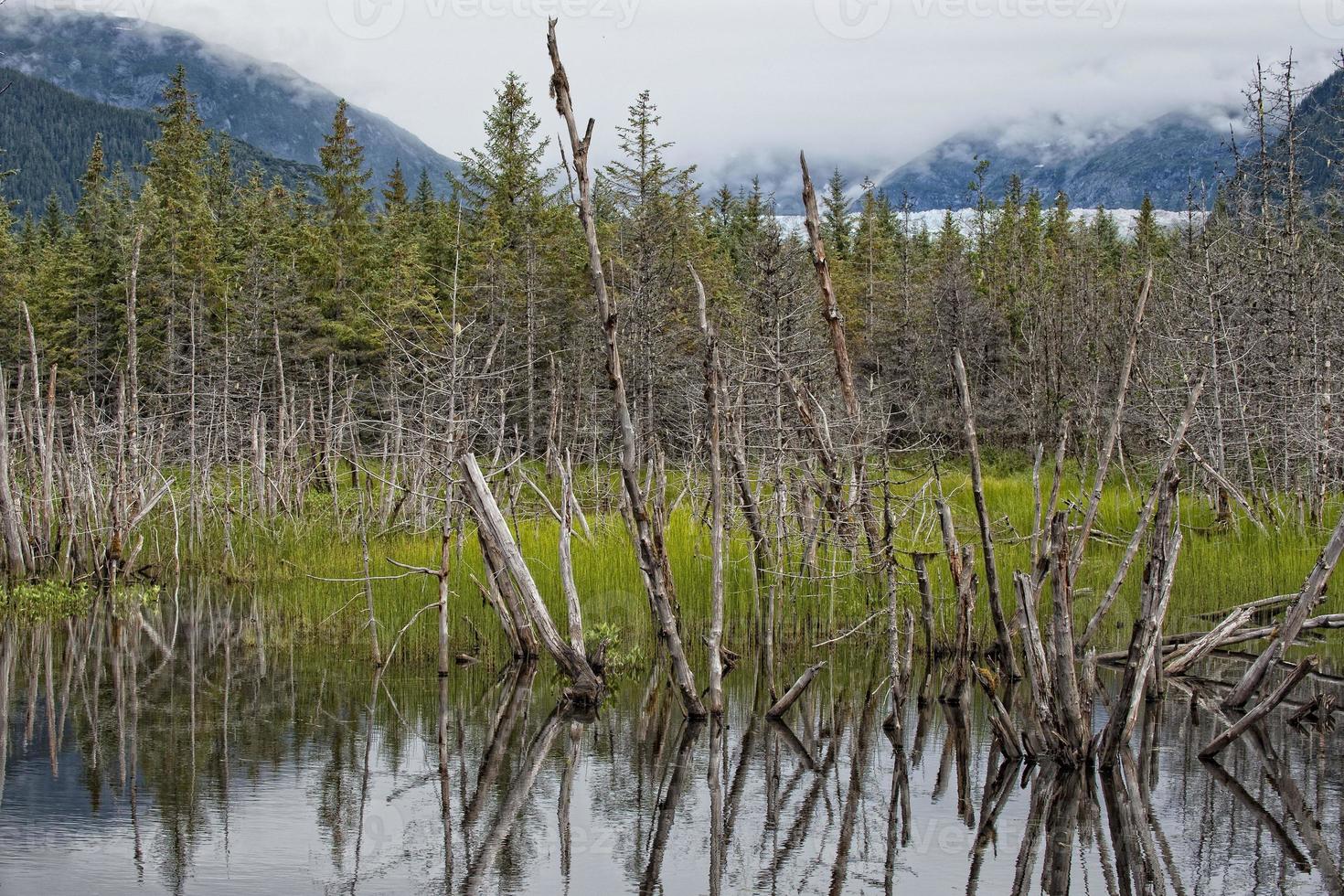 lac glaciaire en alaska photo