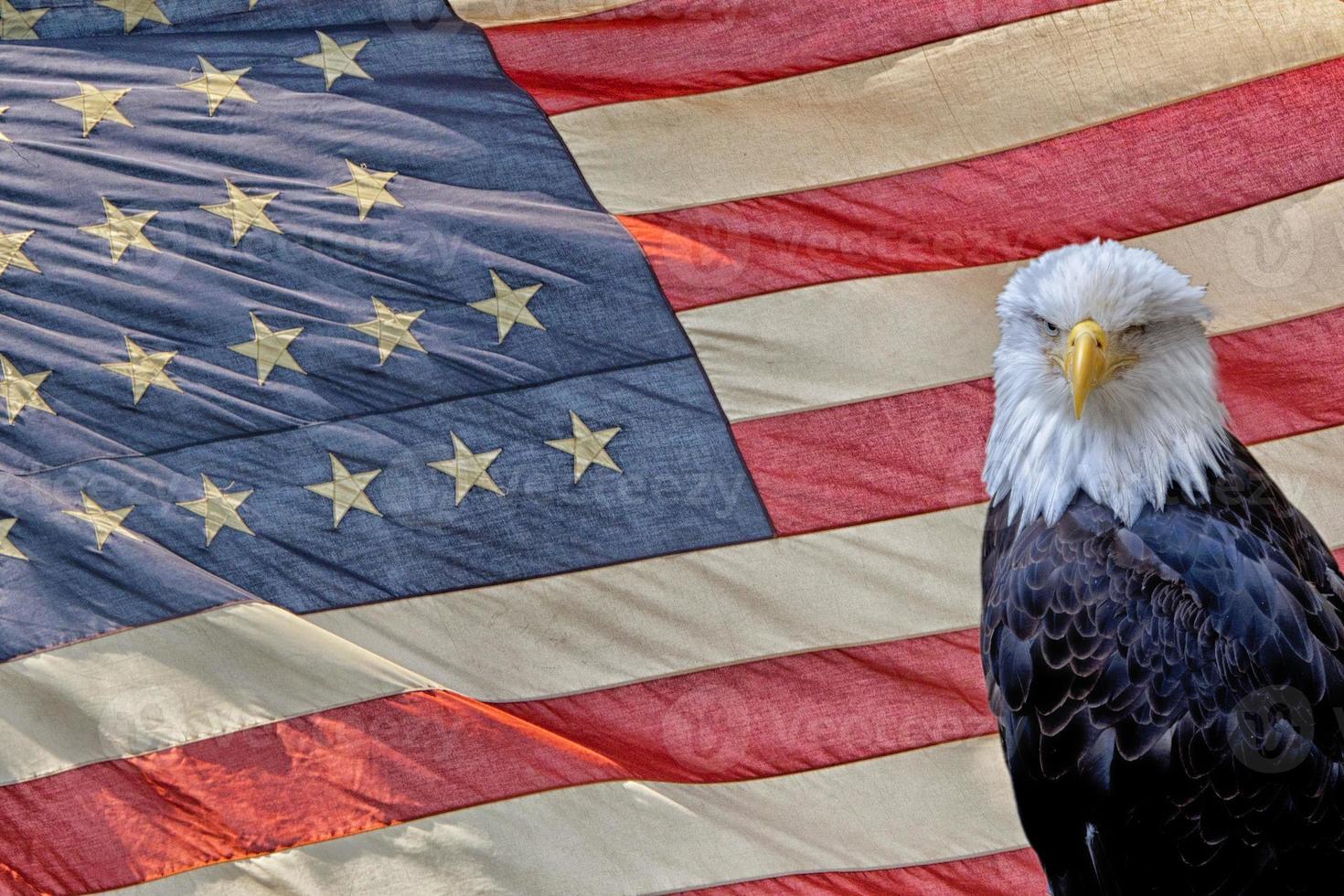 aigle sur le drapeau étoilé photo