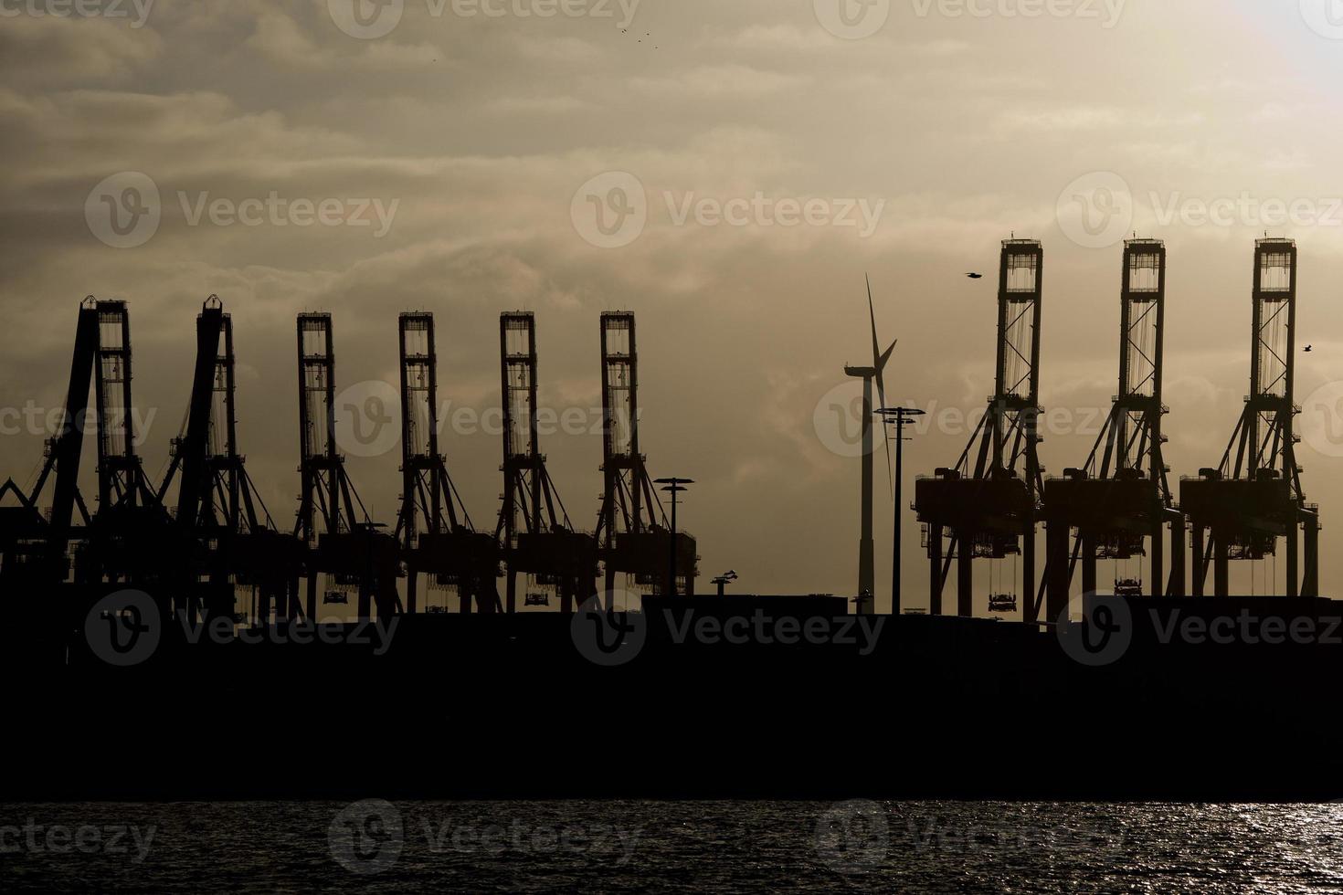 silhouette de grue portuaire de hambourg au coucher du soleil photo