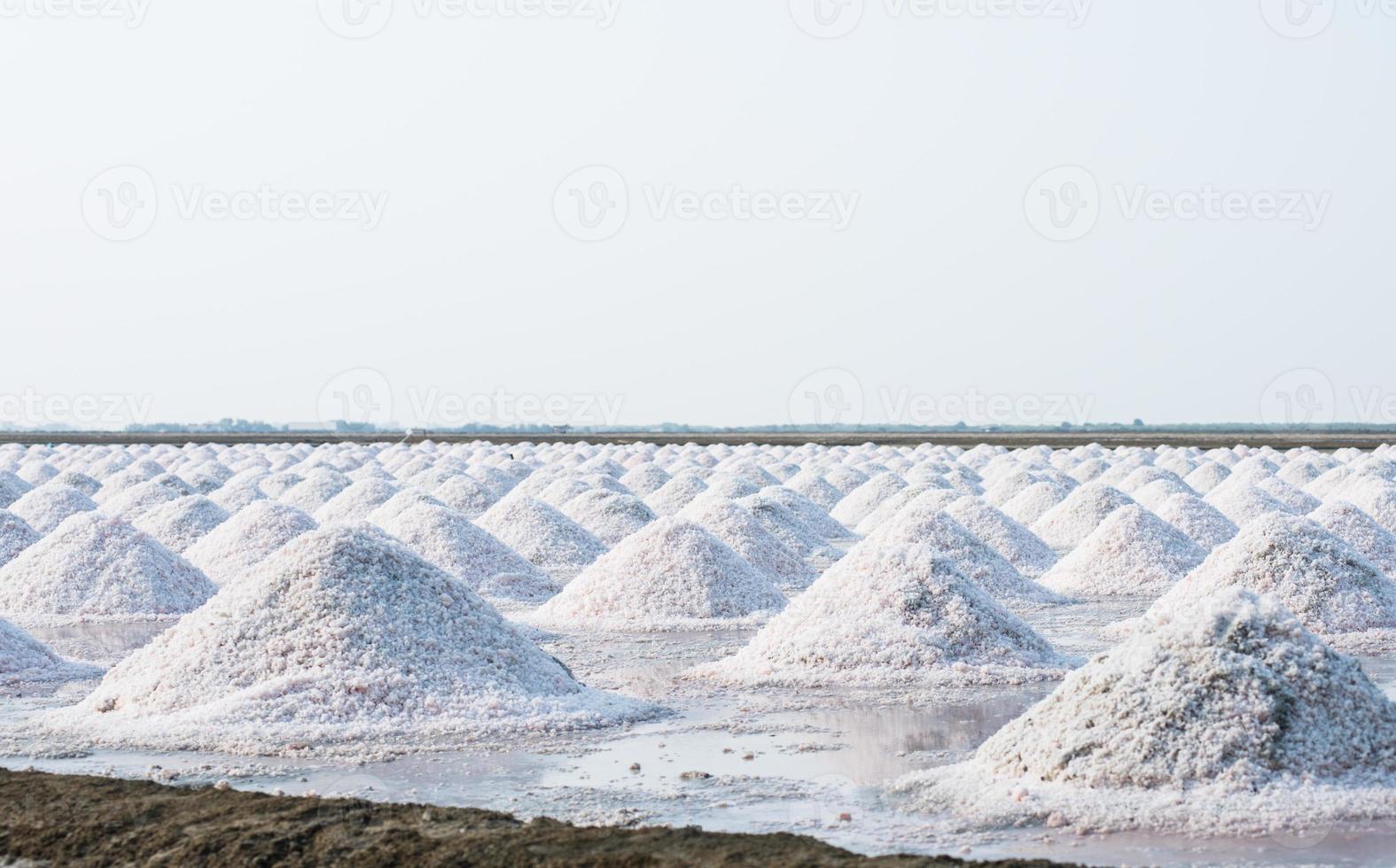 masse de sel dans la ferme salée de la mer salée photo