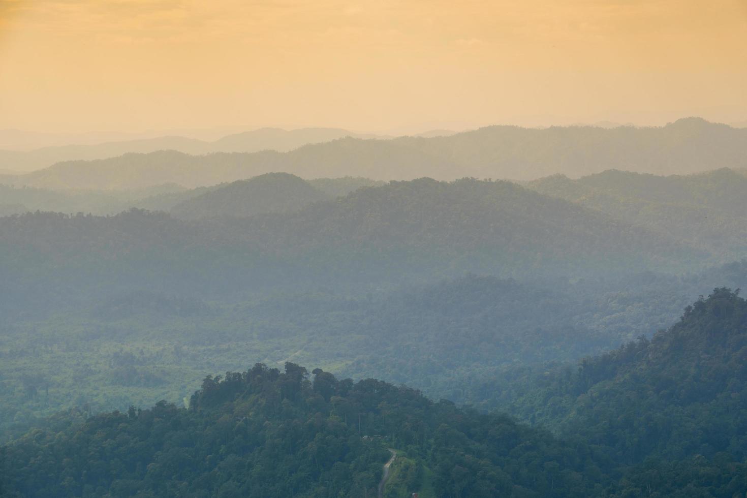 montagnes et forêts le matin photo