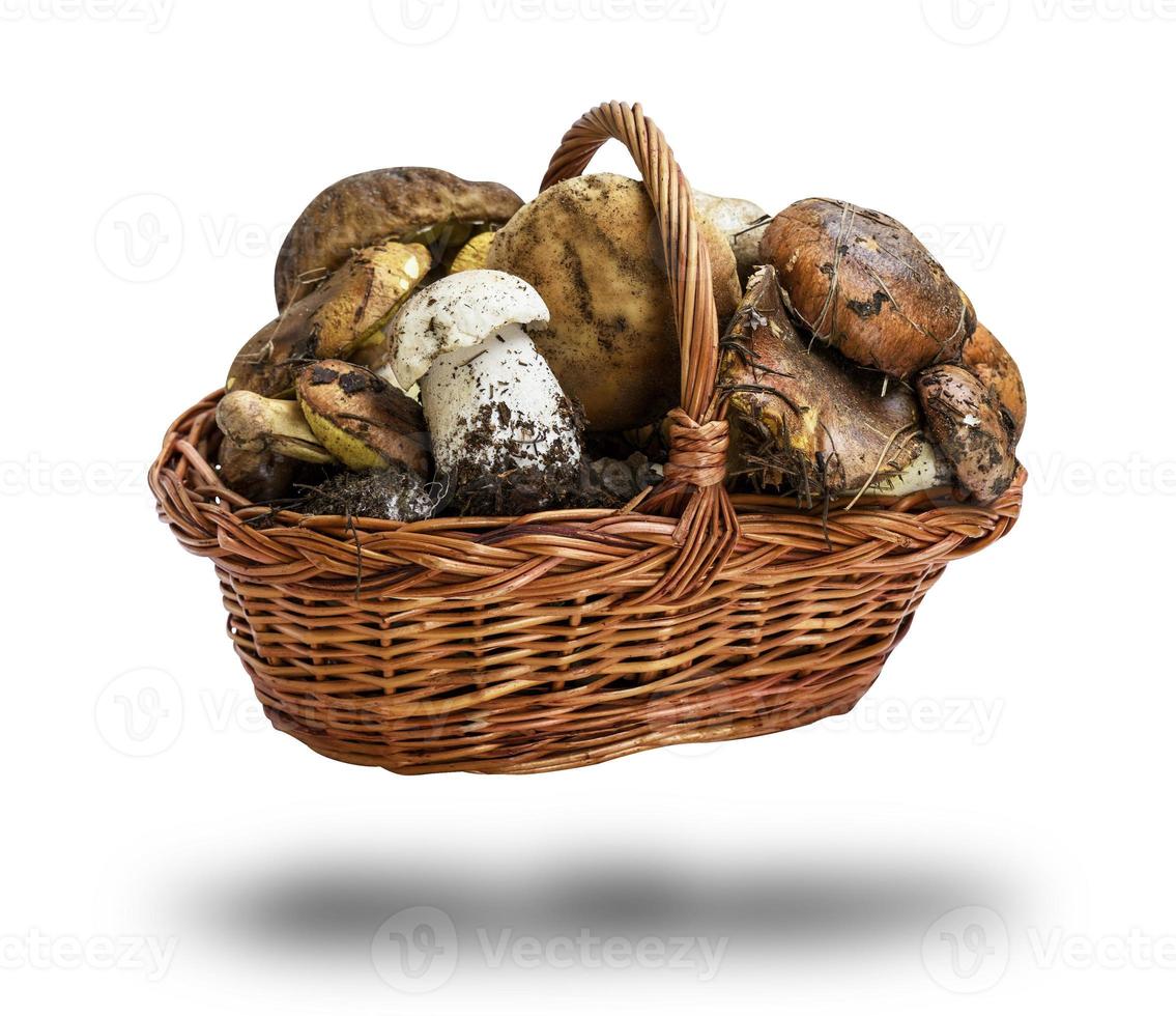 Champignons forestiers frais suillus luteus et boletus edulis dans un panier en osier brun photo