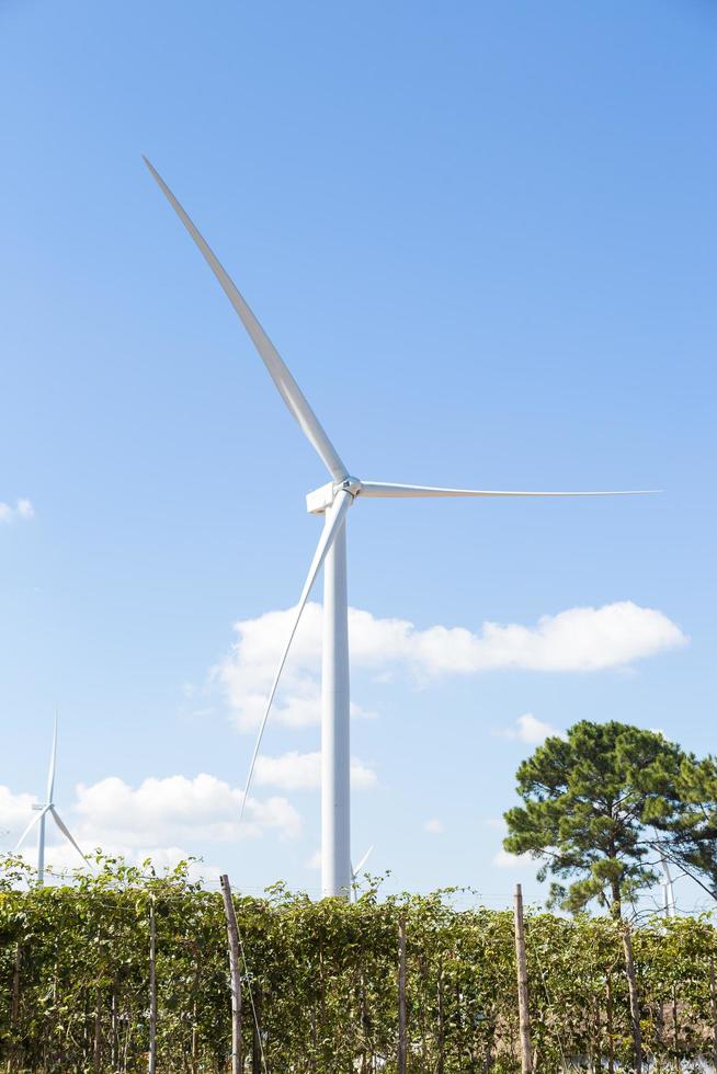 éolienne pour produire de l'énergie photo