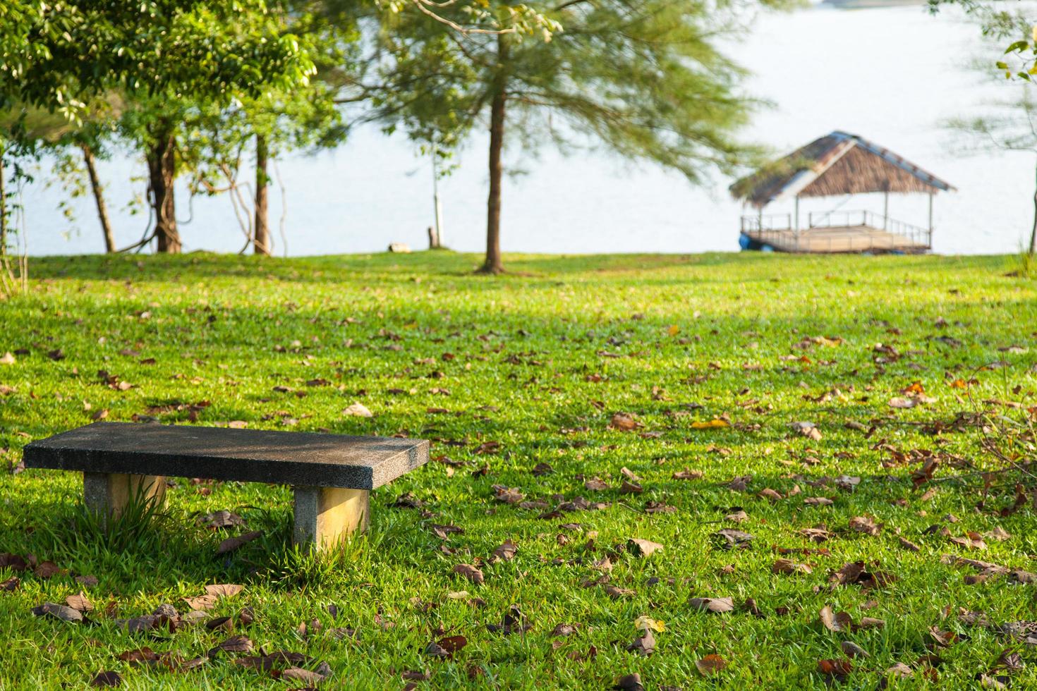 banc dans le parc photo