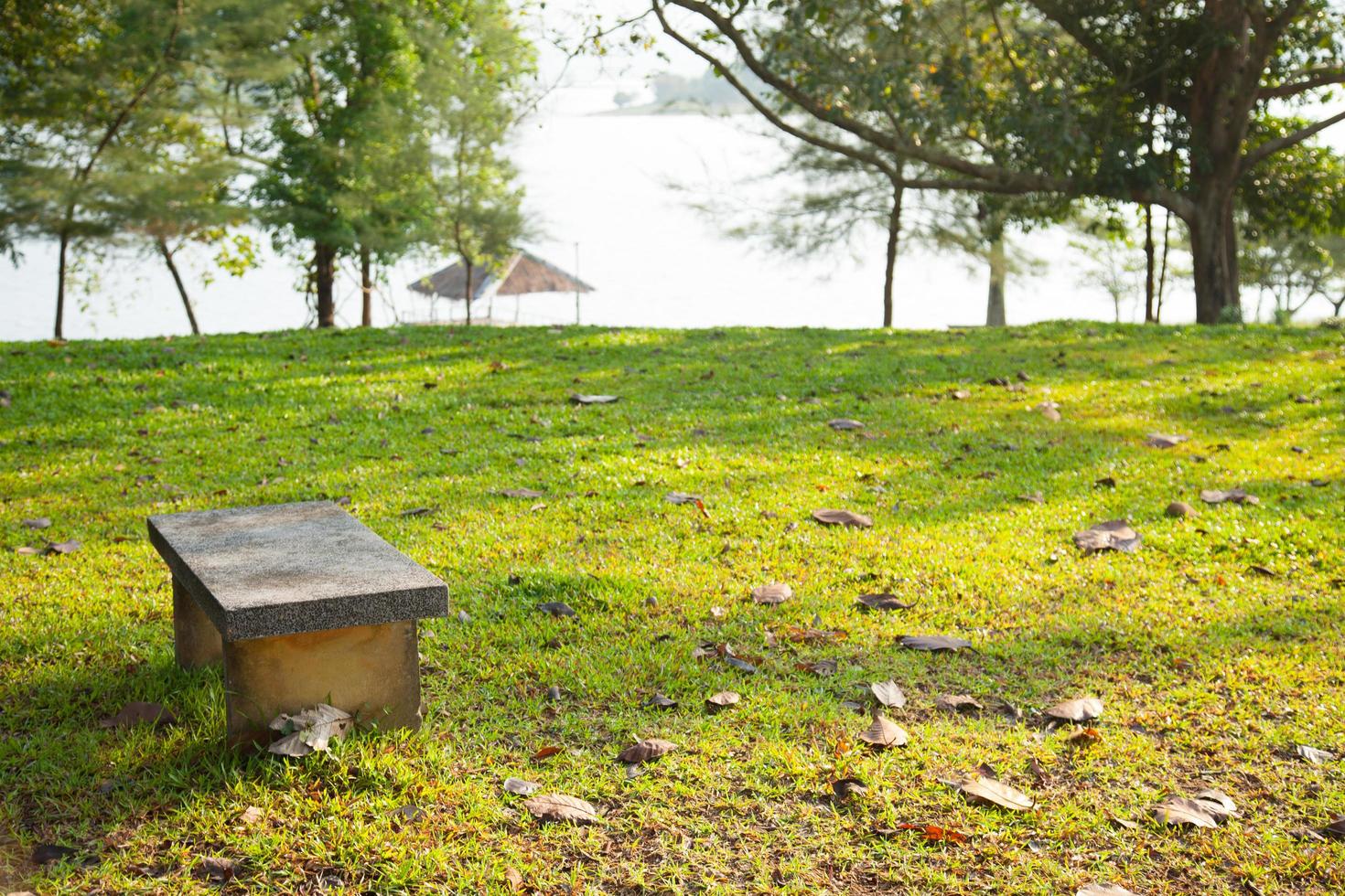 banc dans le parc photo