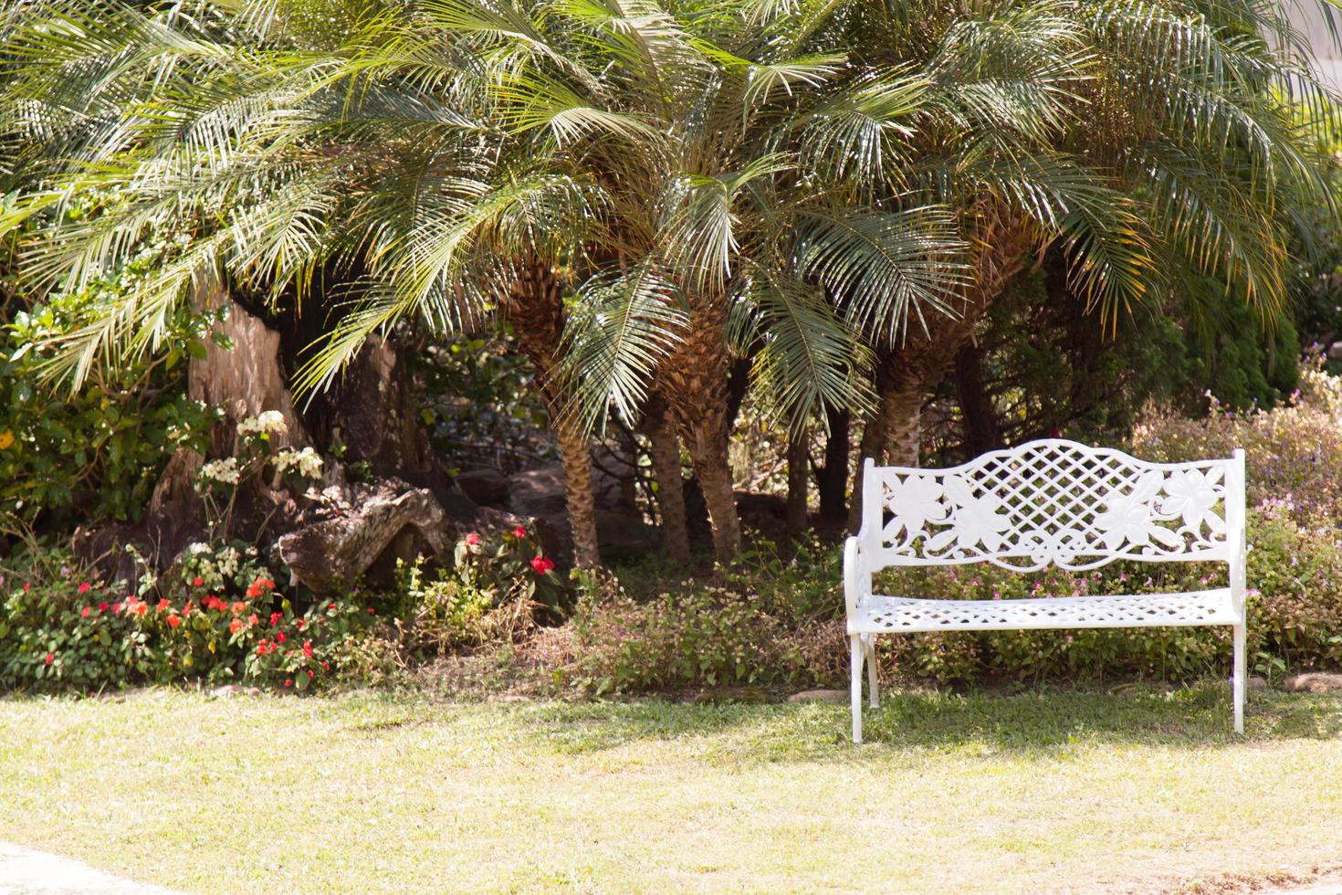 banc dans le parc photo