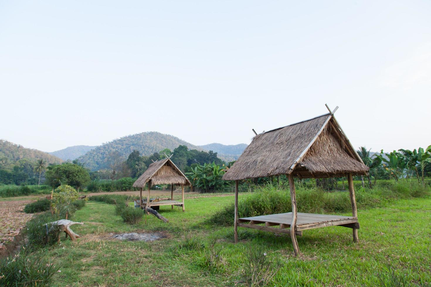 cabane sur le terrain photo