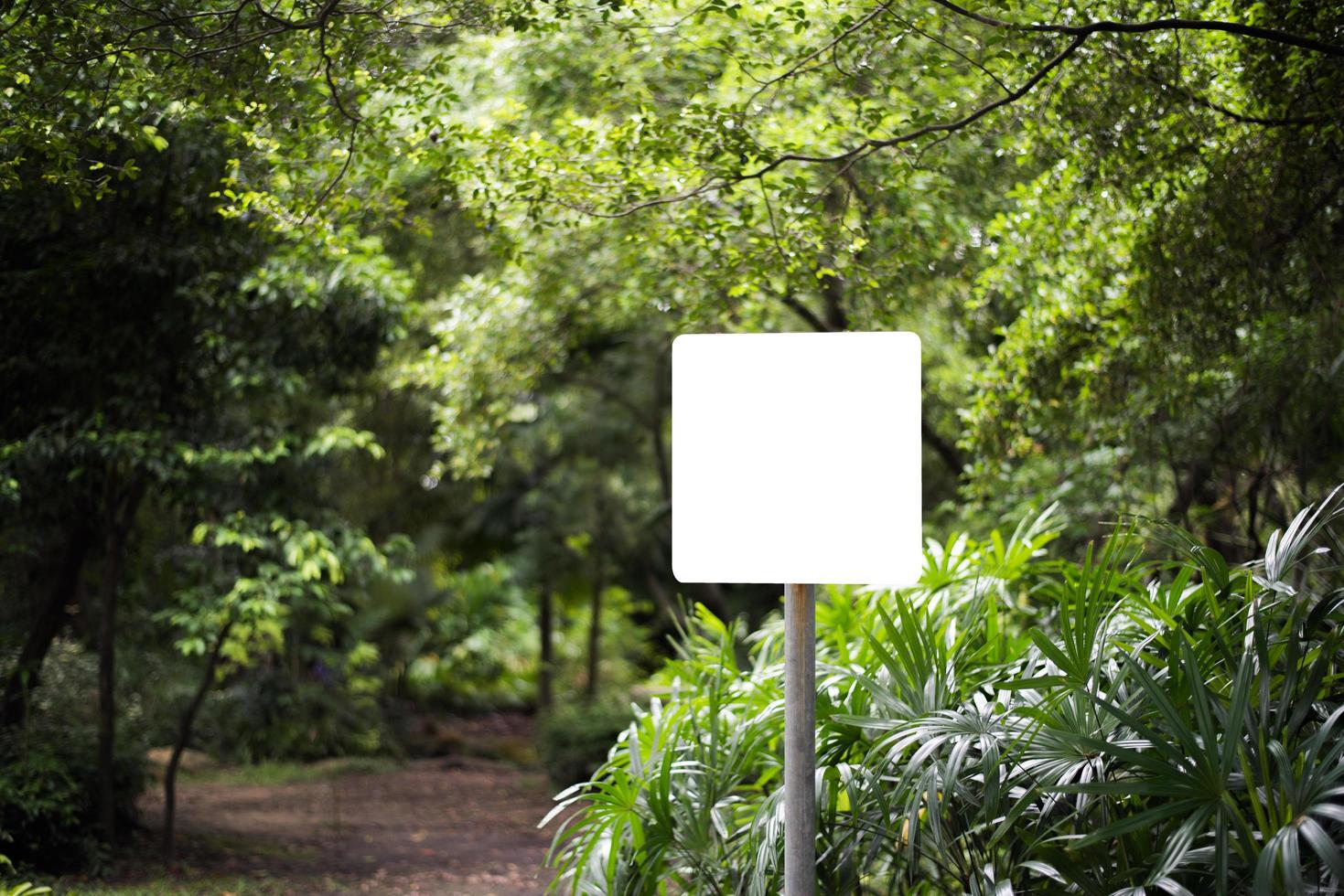 panneau d'affichage vide blanc dans le parc avec fond de nature photo