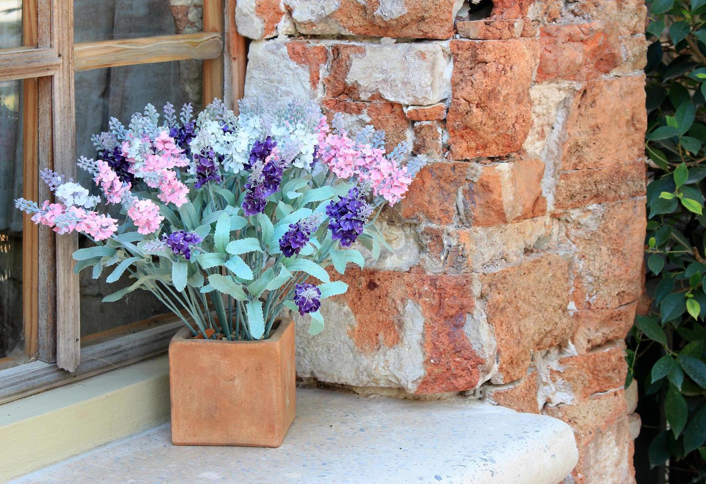 bac à fleurs dans la fenêtre photo