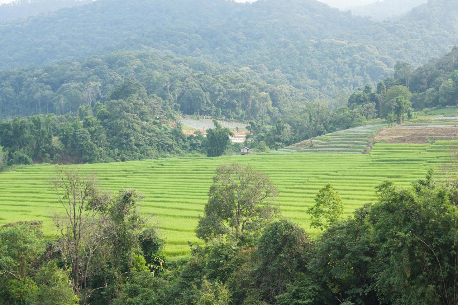 zone agricole en montagne photo