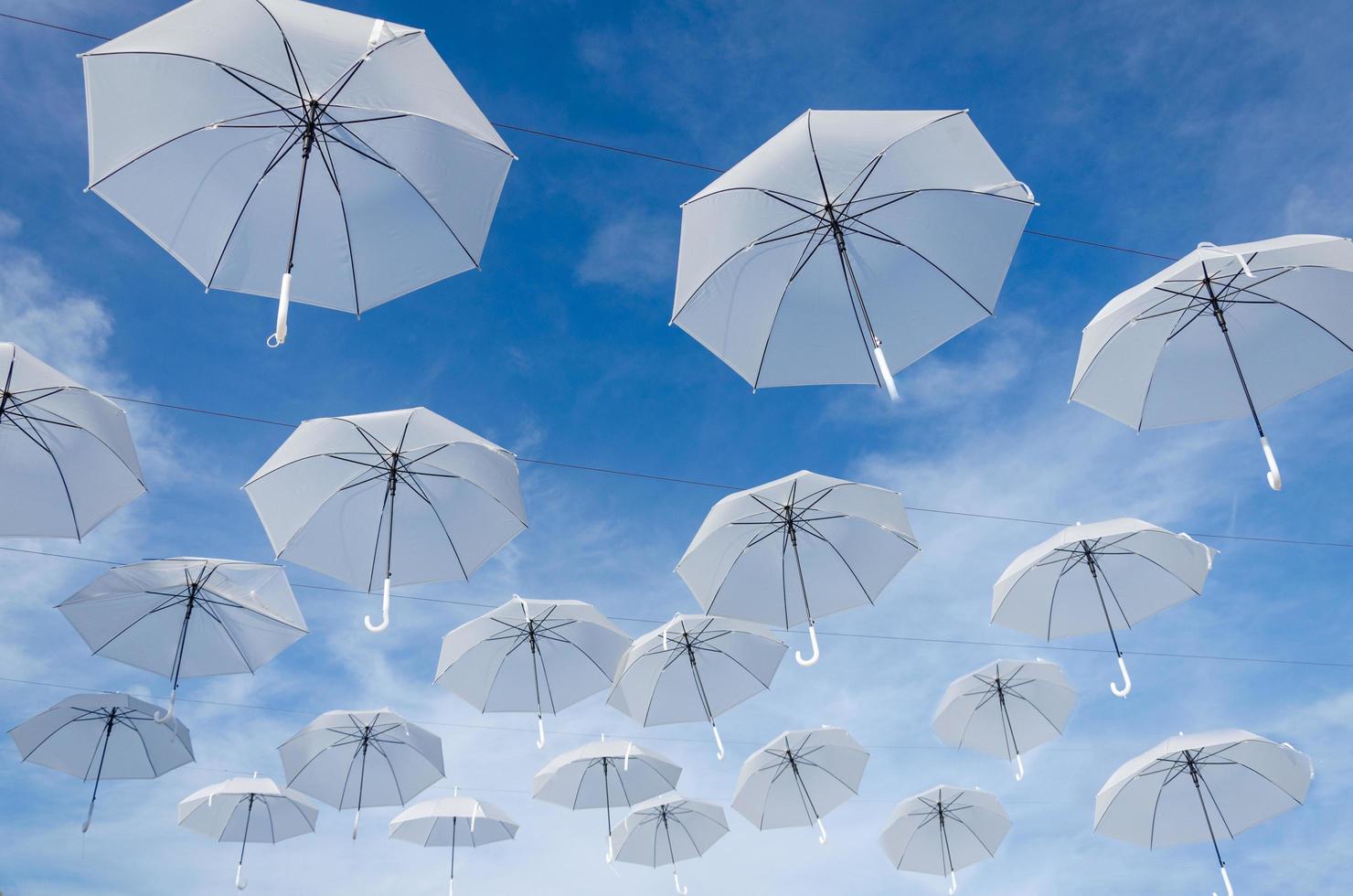 parapluies dans le ciel photo