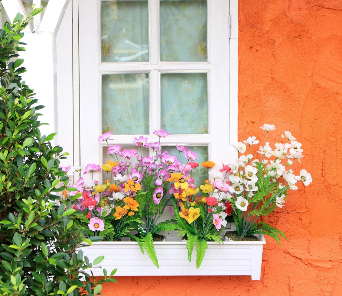 fleurs en boîte de fenêtre photo