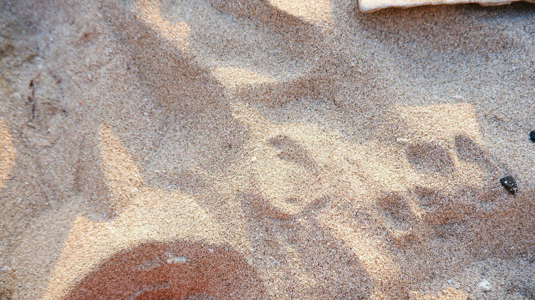 prise de vue plein cadre. gros plan sur la texture du sable de la plage en été. nature du sable sur la plage. plage de sable blanc de texture photo