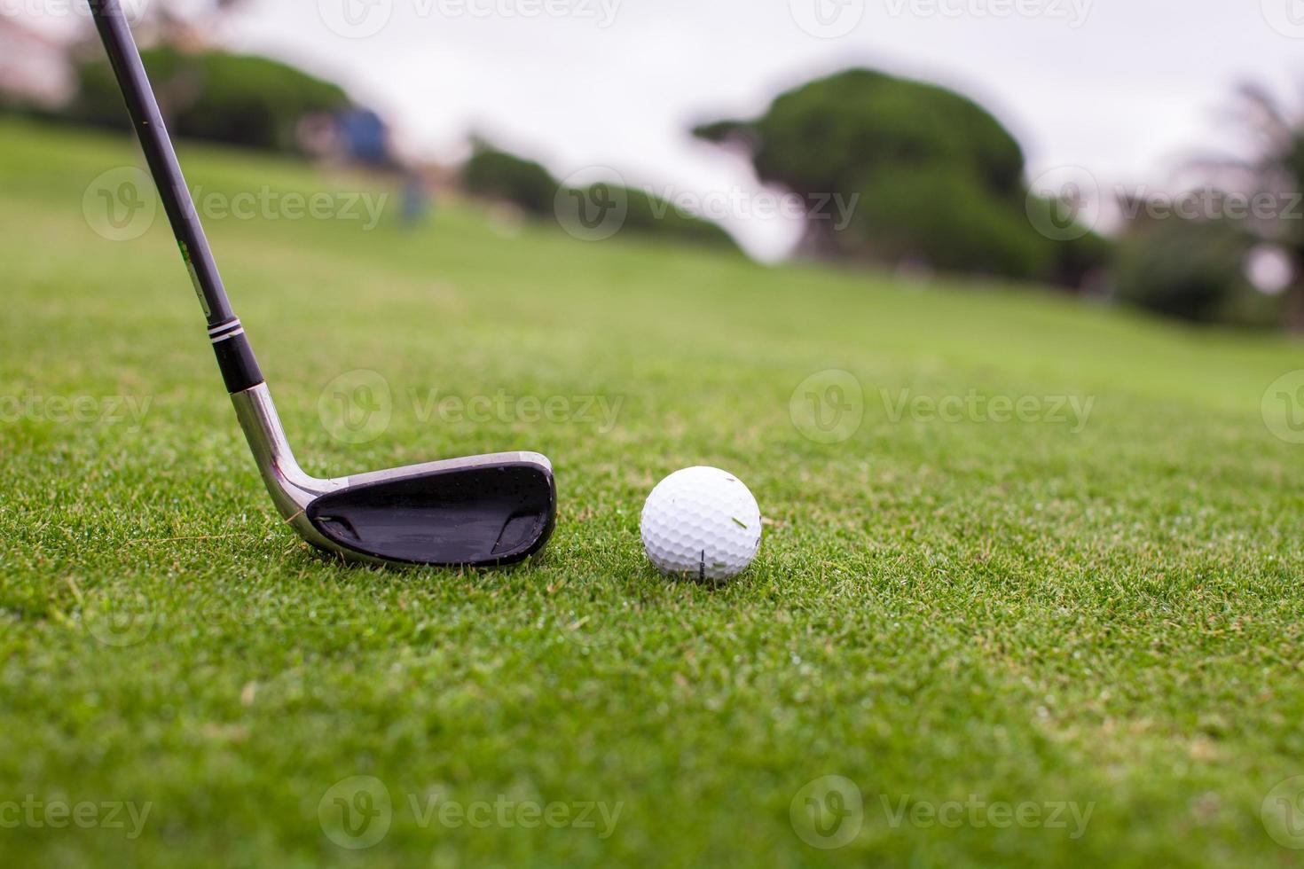 bâton de golf et balle sur l'herbe verte photo