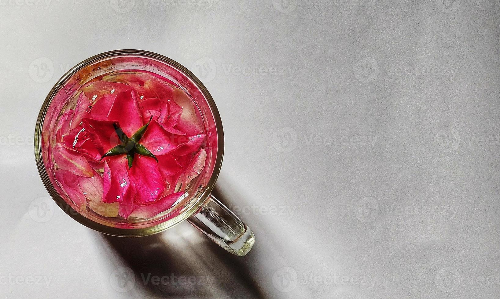 fleur de rosa chinensis dans une tasse en verre remplie d'eau, illustration de concept romantique photo