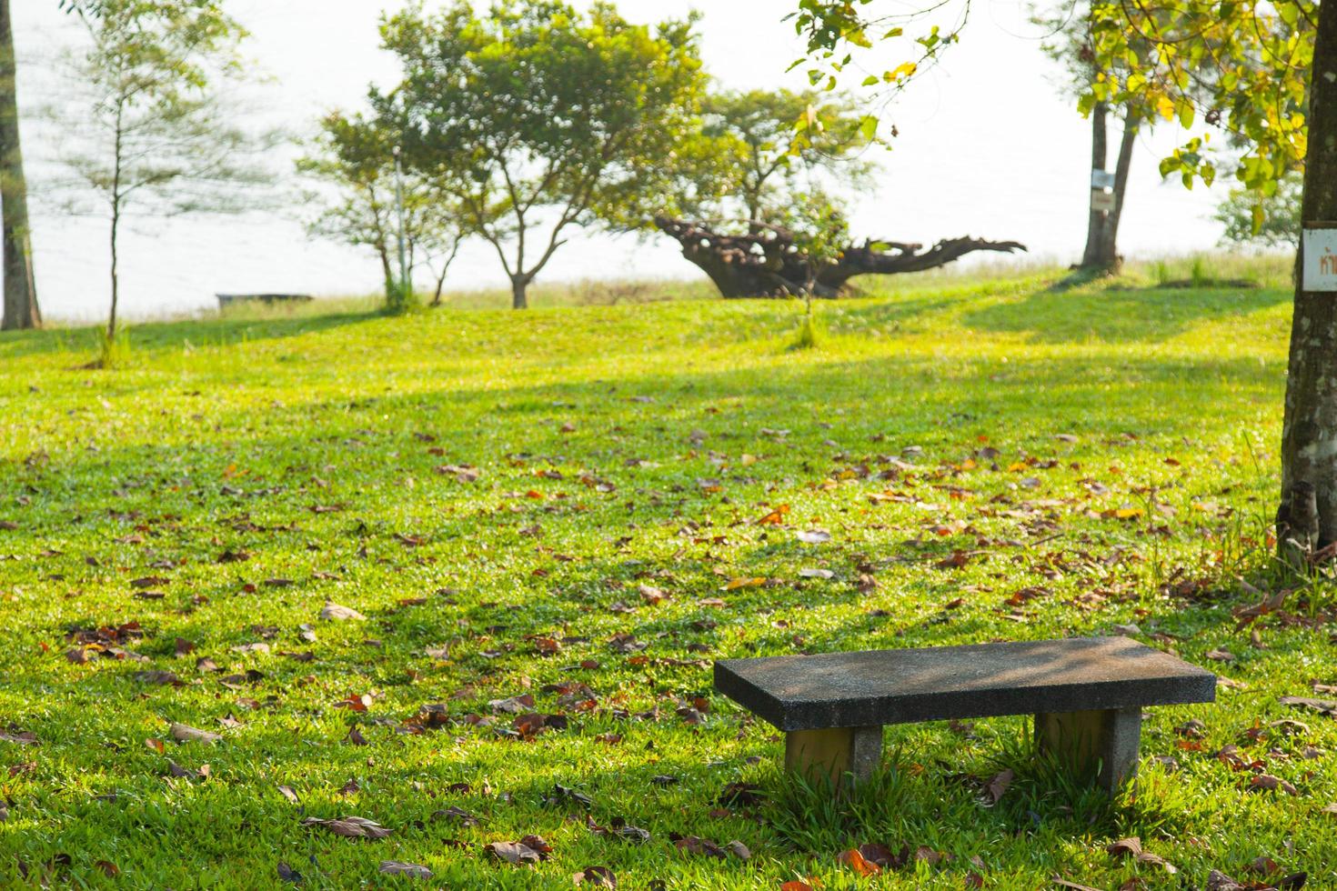 banc de pierre sur la pelouse photo