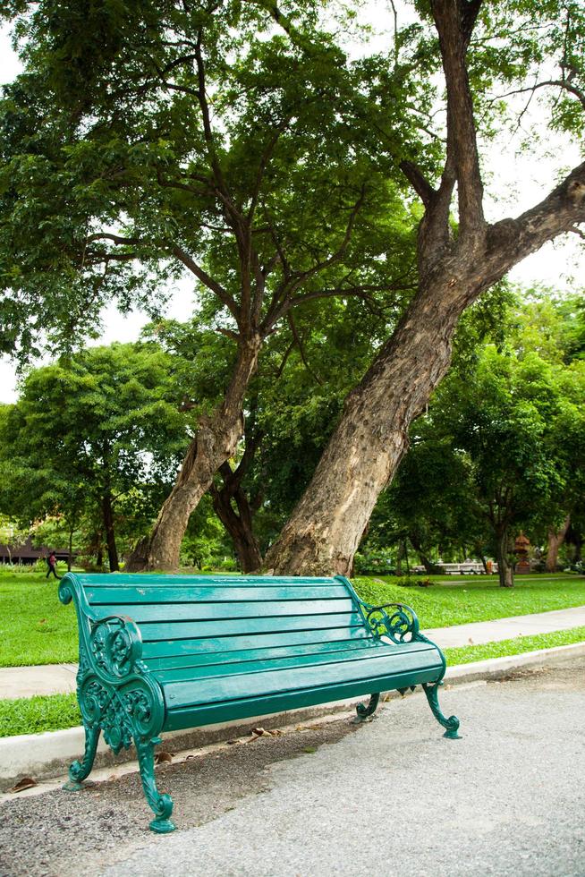 banc sous un arbre photo