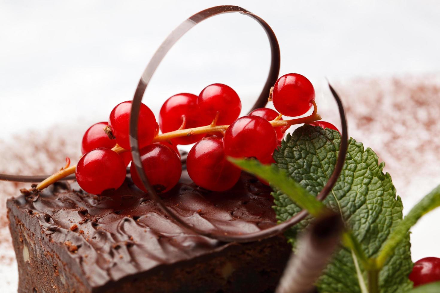 gâteau au chocolat aux groseilles rouges photo