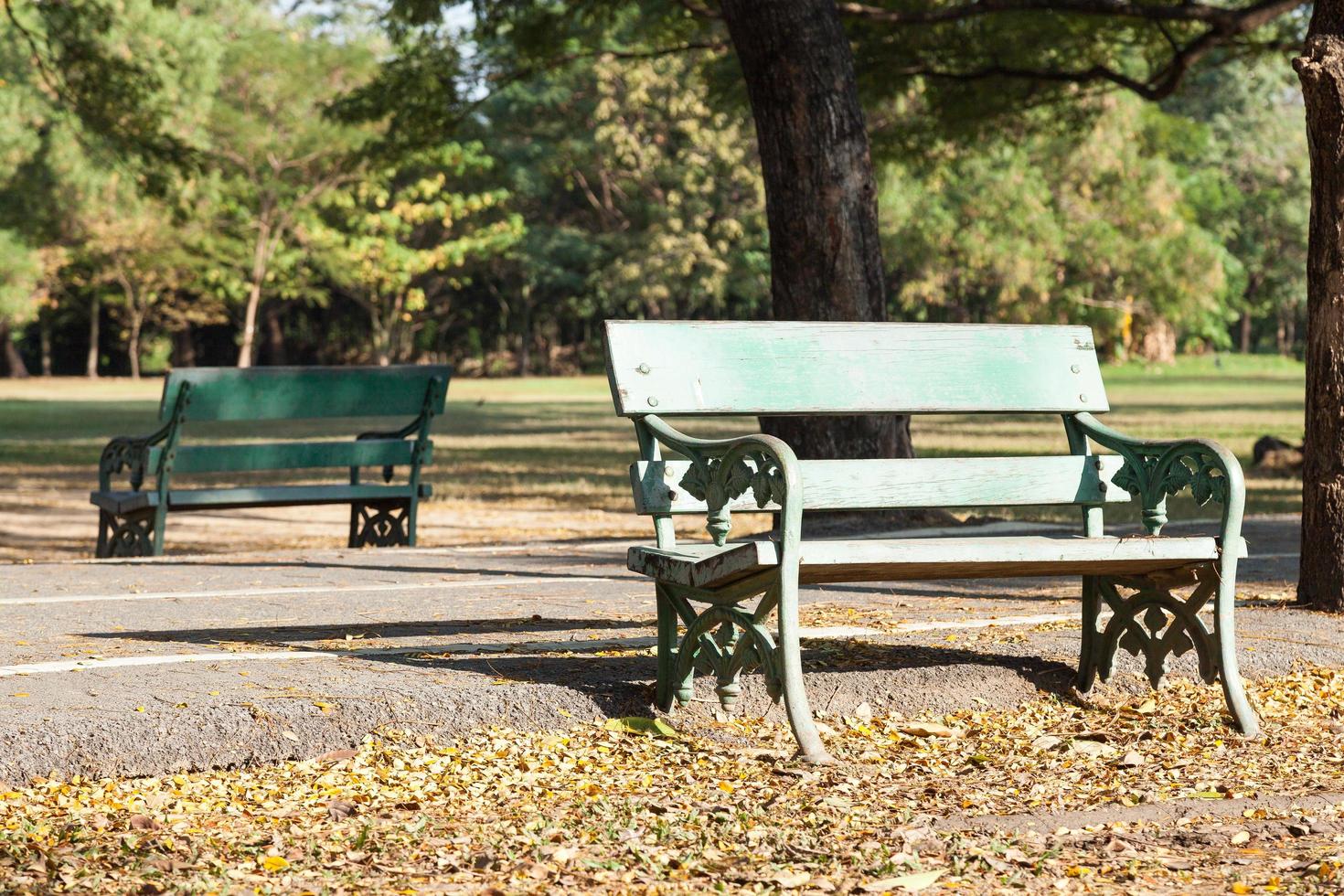 bancs dans le parc photo