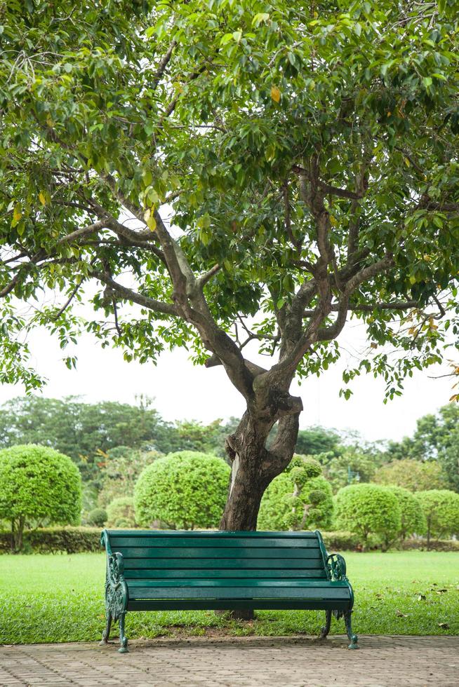 banc sous un arbre photo