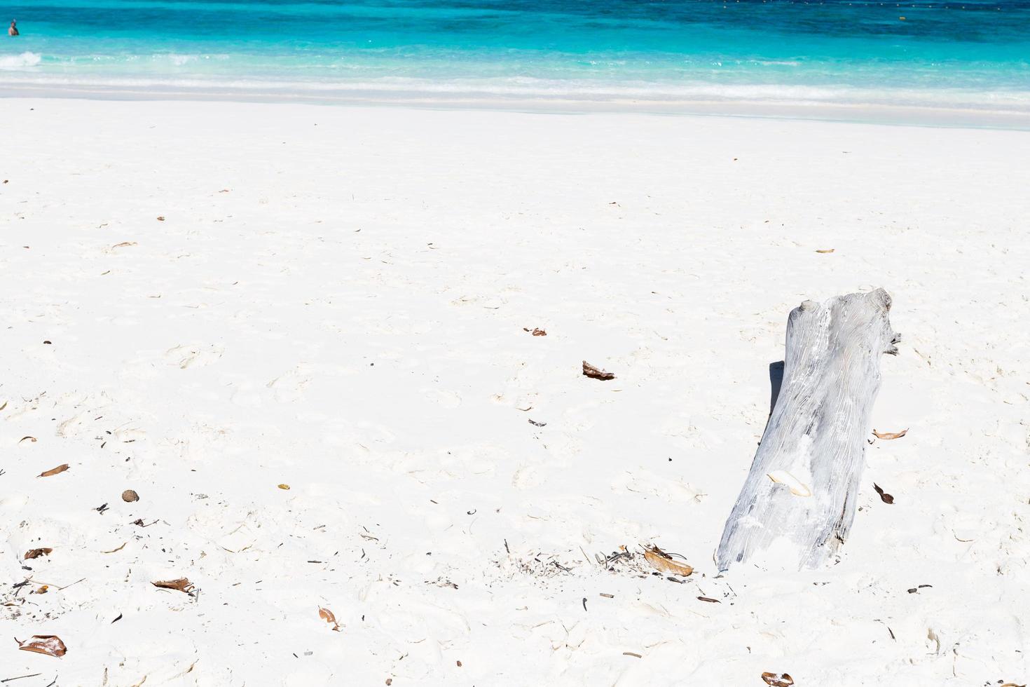 bois sur la plage en thaïlande photo