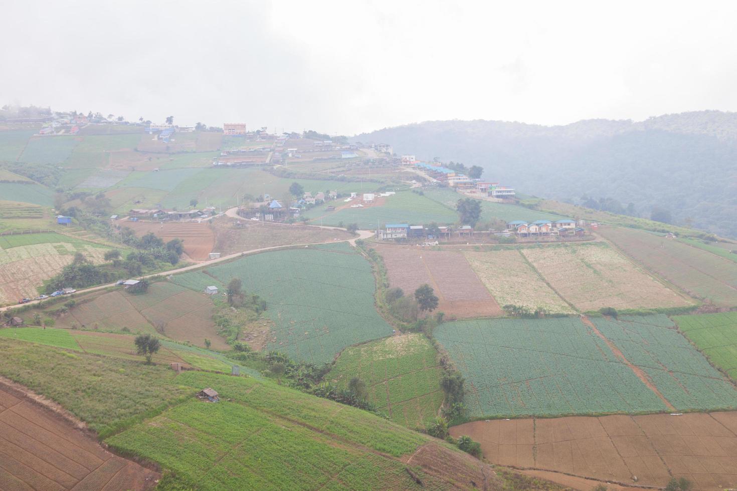 fermes dans les montagnes en thaïlande photo