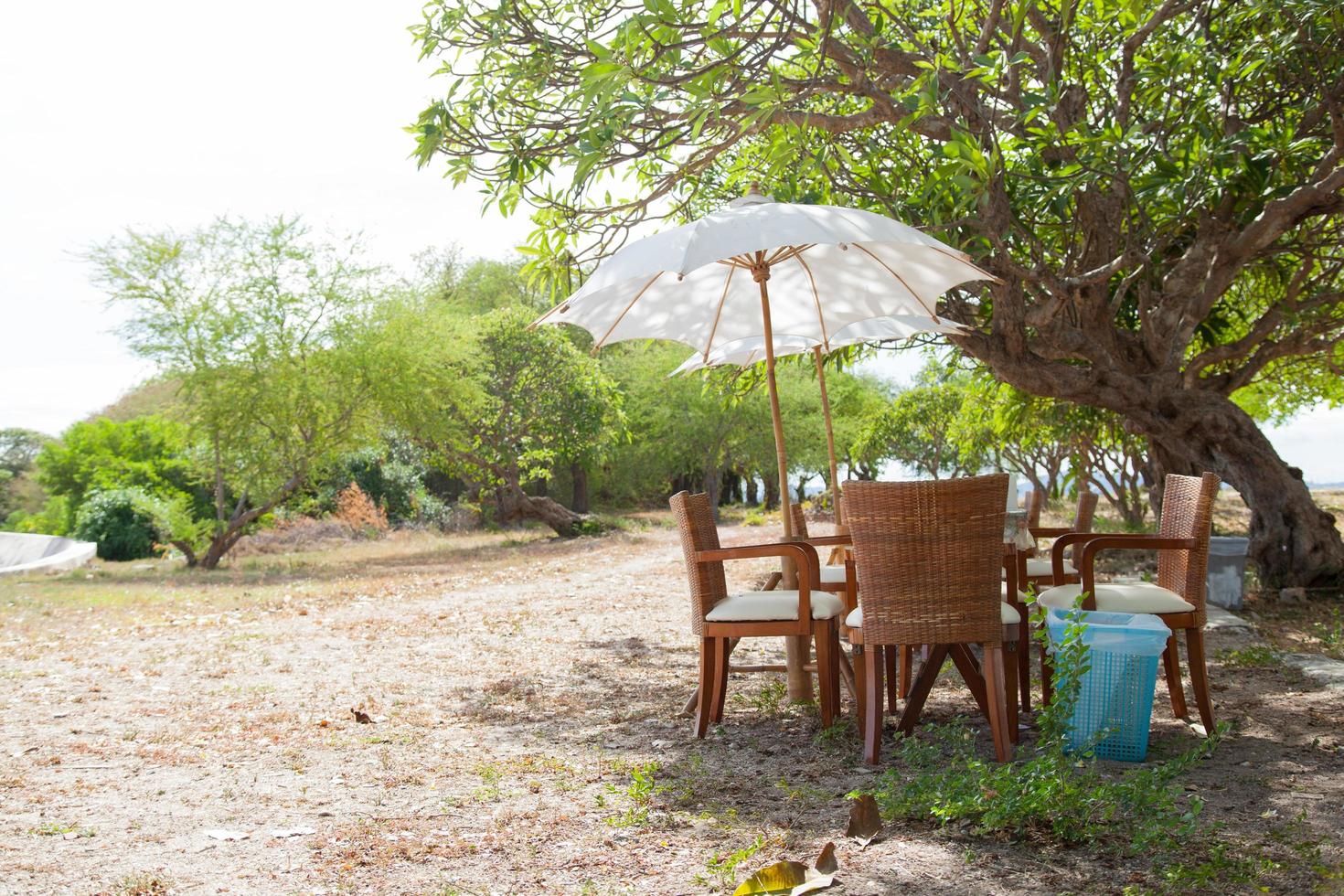 table à manger et chaises photo