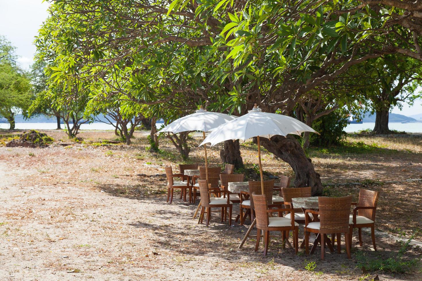 table à manger et chaises photo