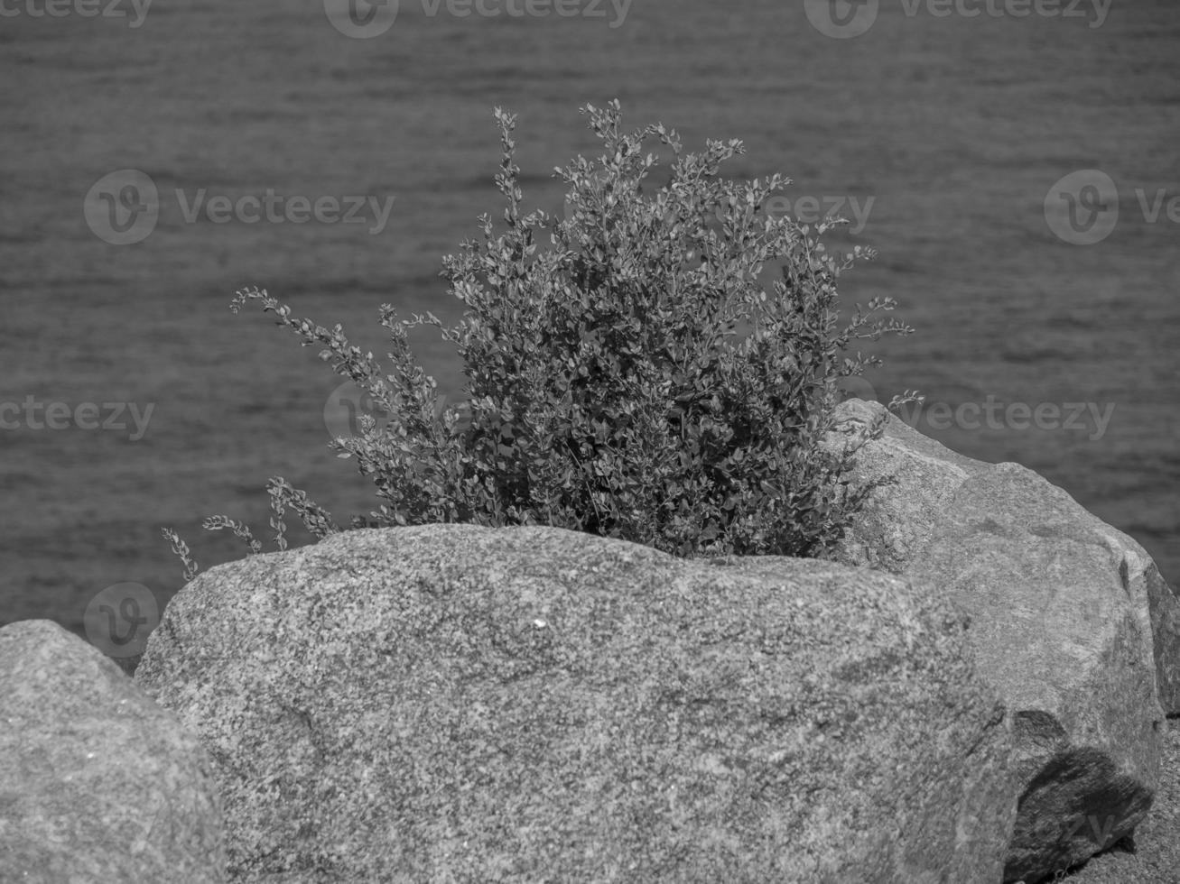 l'ile de corse photo