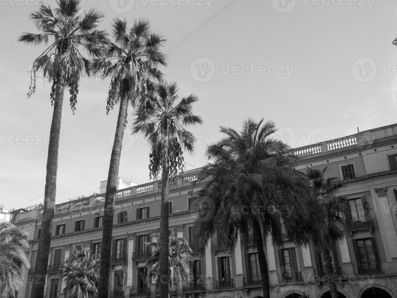 l'ile de corse photo