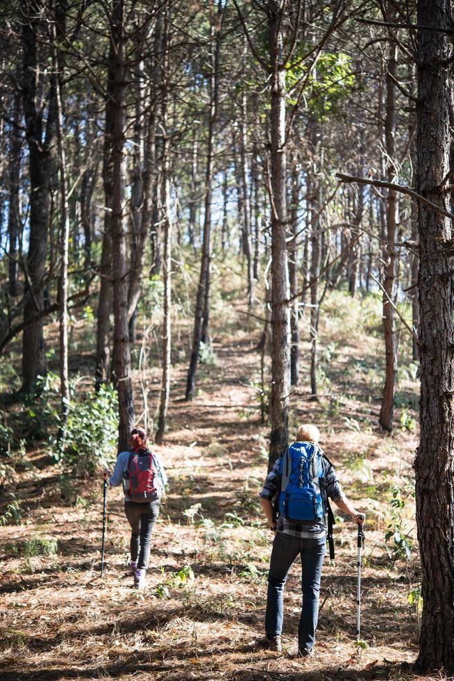 Portrait de couple randonnée dans une forêt de pins photo