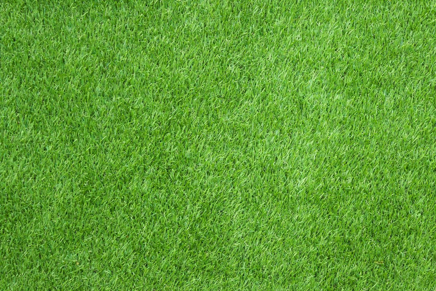 herbe verte pour la texture ou le fond photo