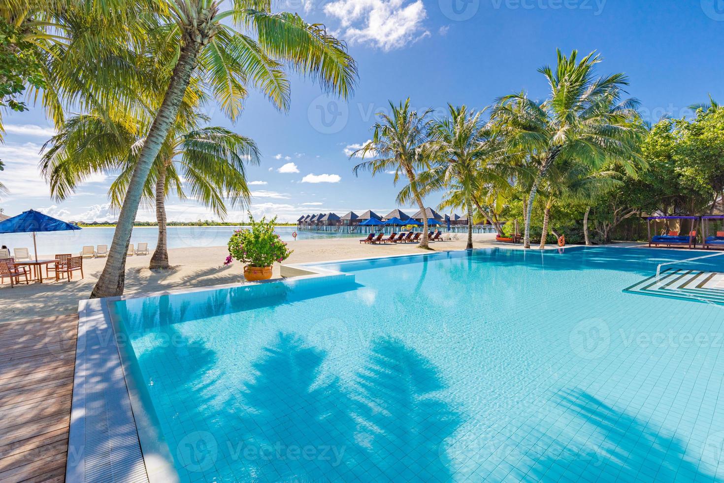 piscine de luxe en face de la plage. incroyable piscine à débordement avec des feuilles de palmier sous la lumière du soleil. île paradisiaque tropicale ou fond d'hôtel. vacances ou vacances luxueuses à la plage tropicale photo