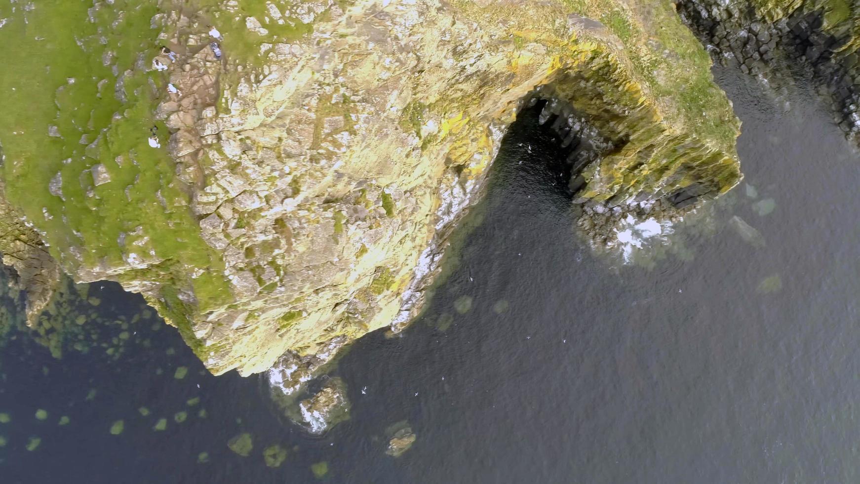 découvrez la beauté mystérieuse du brésil et de l'ecosse photo