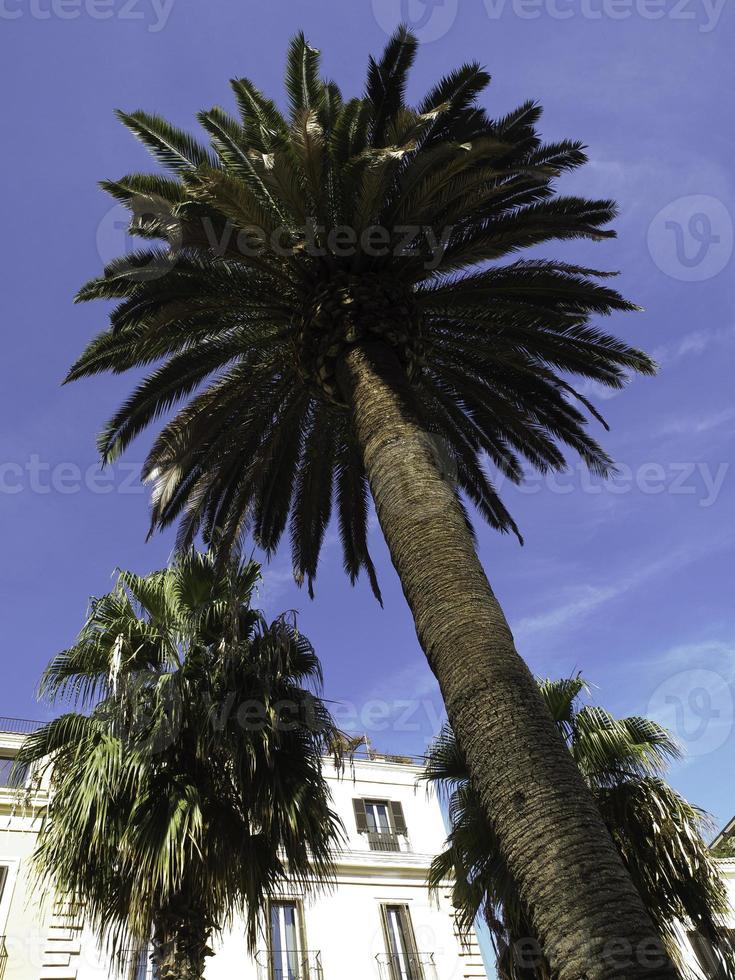 ville de bari en italie photo