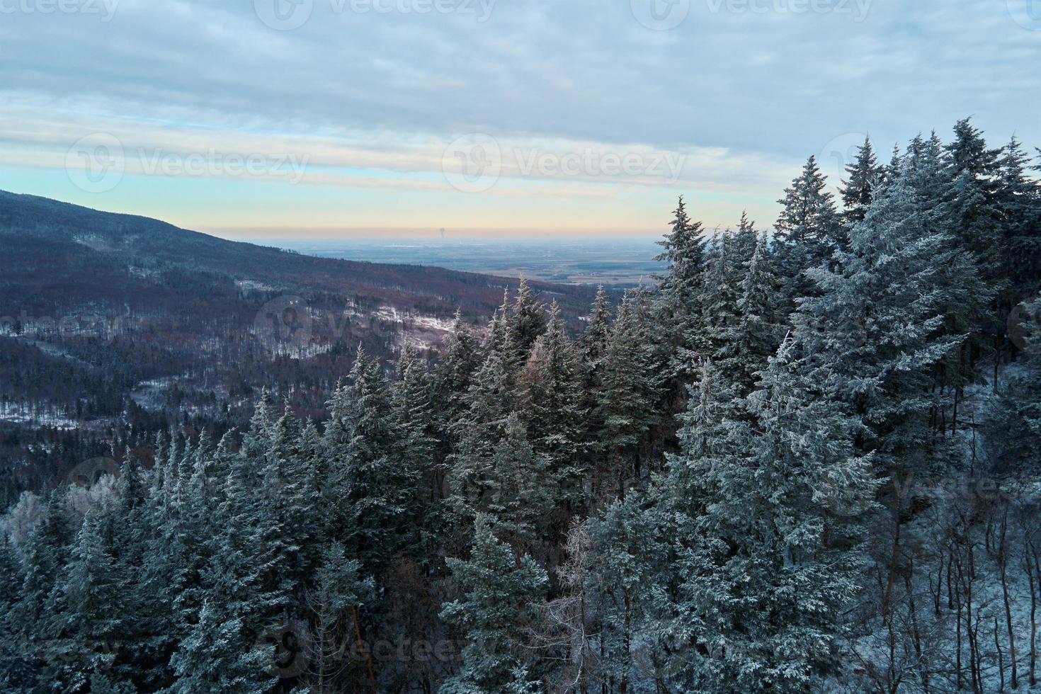 vue aérienne de la forêt couverte de neige photo