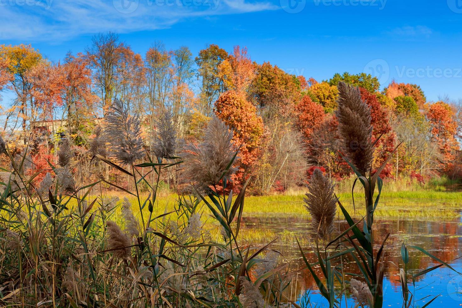 paysage d'automne. les couleurs vives du lac. photo