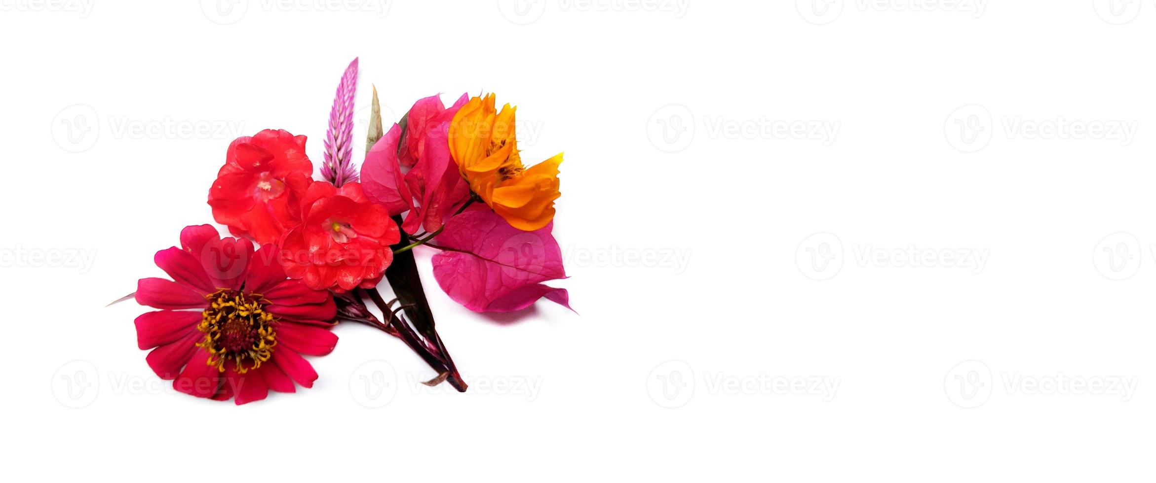 bouquet de fleurs isolé sur fond blanc photo