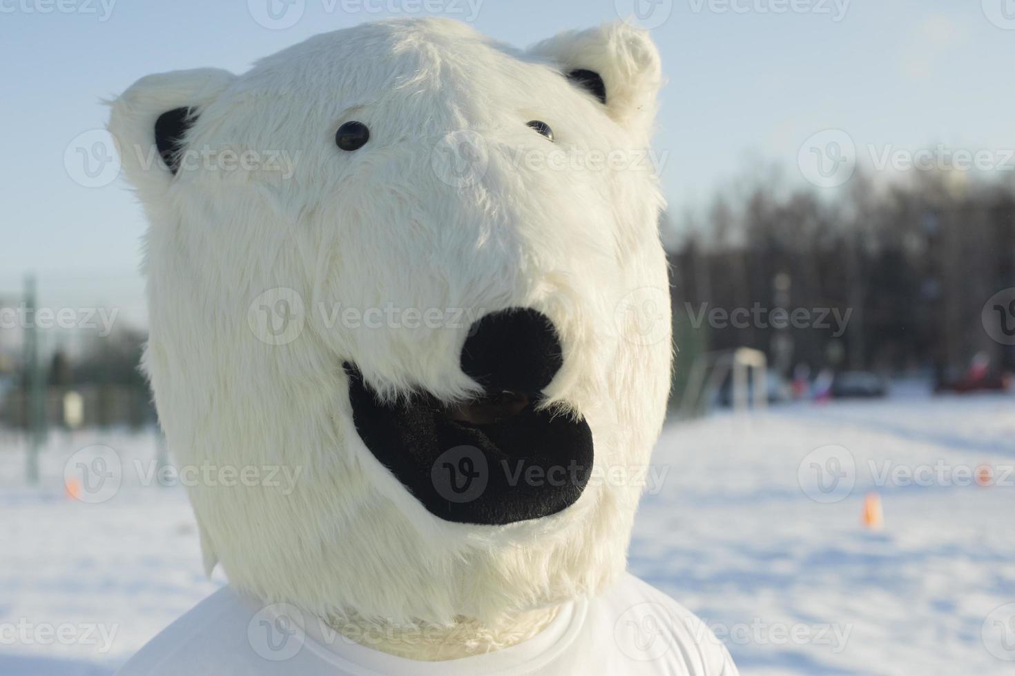 ours polaire. ours de poupée de croissance. symbole de l'hiver. ours polaire. photo