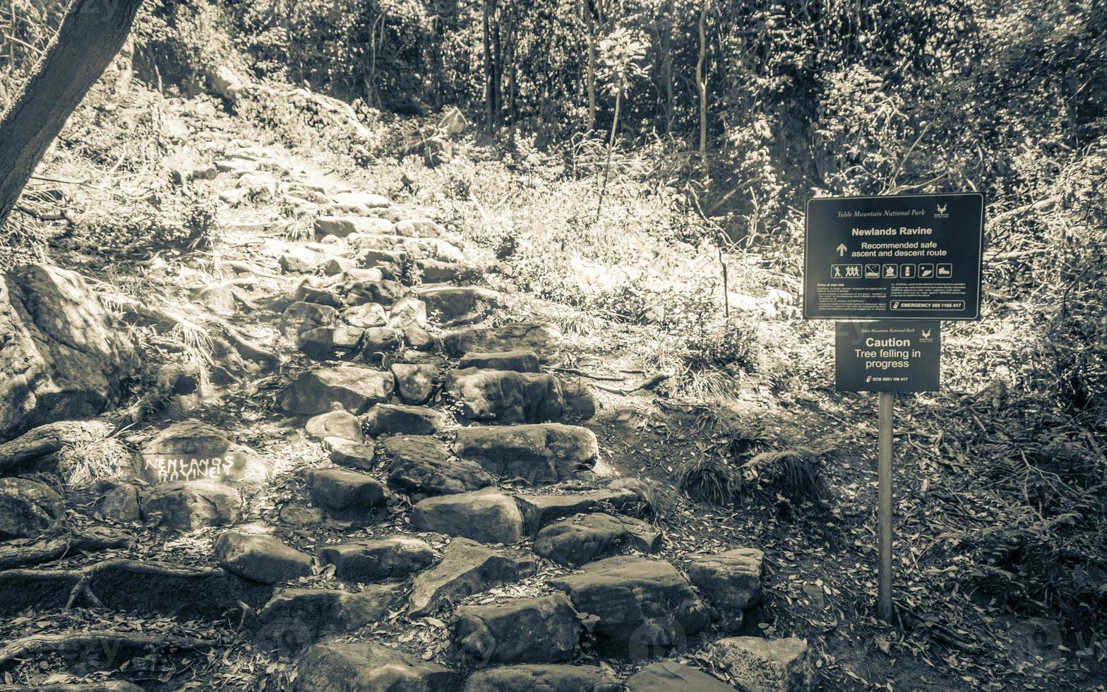 Sentier de randonnée stony newlands ravin dans le parc national de la montagne de la table. photo