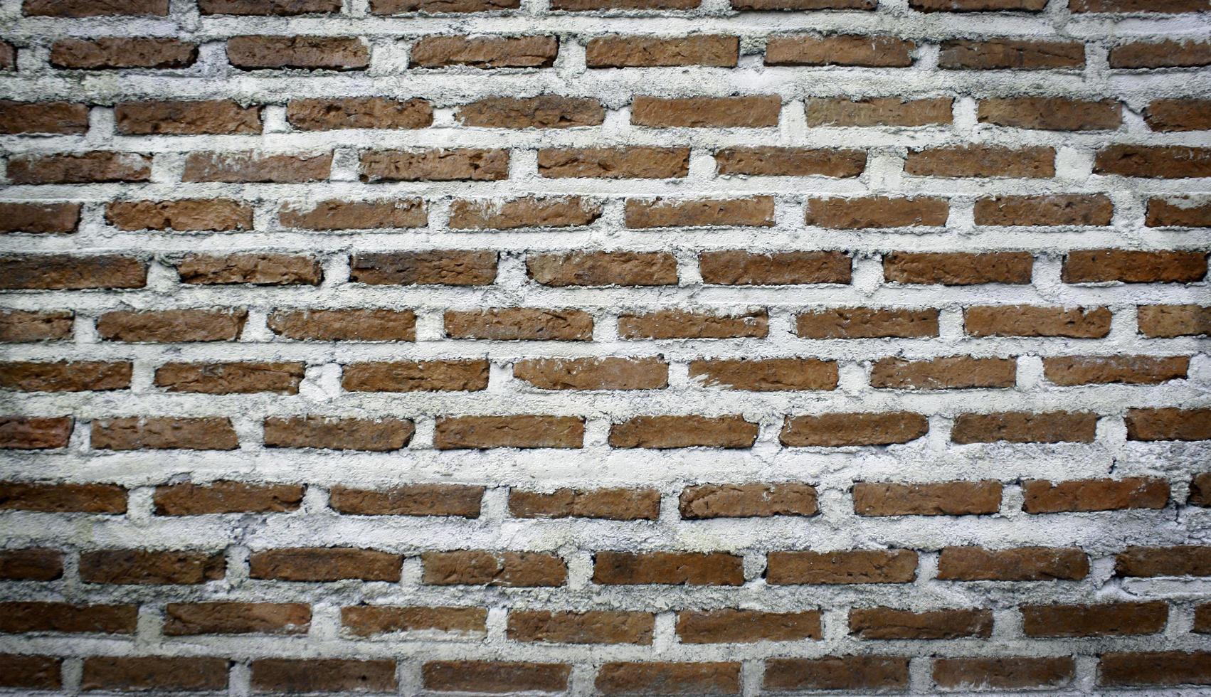 texture de mur de brique rouge photo