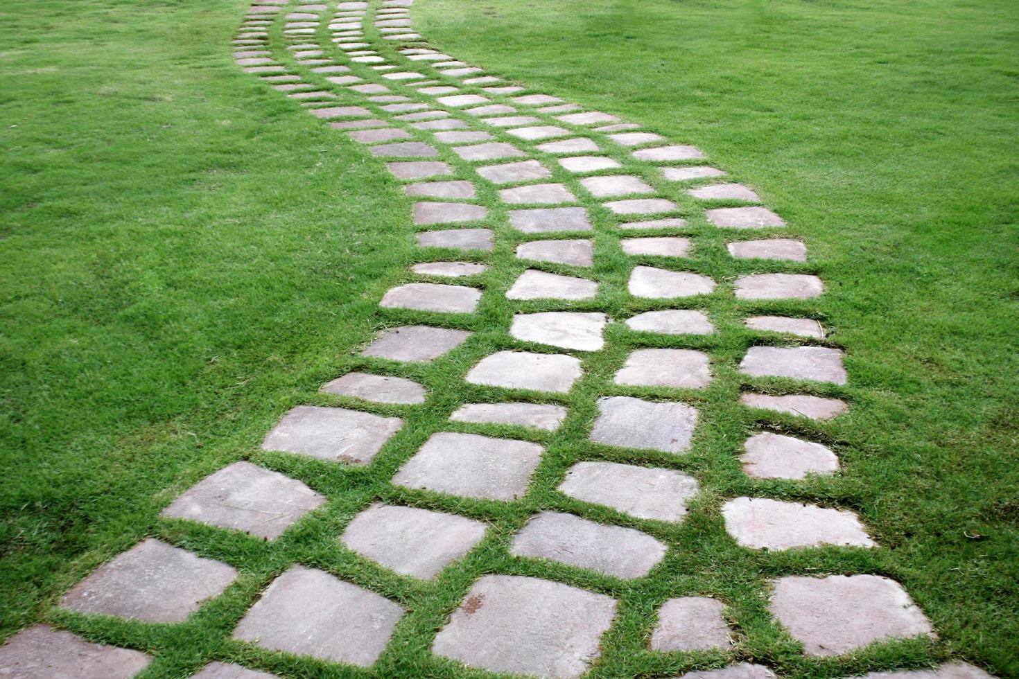 chemin de pierre dans l'herbe photo