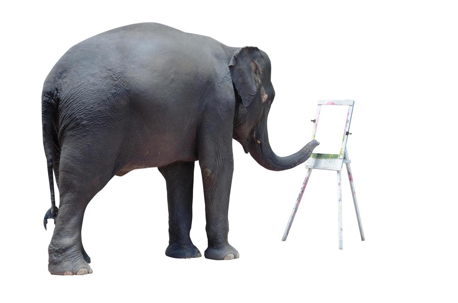 spectacle de coloriage d'éléphant photo